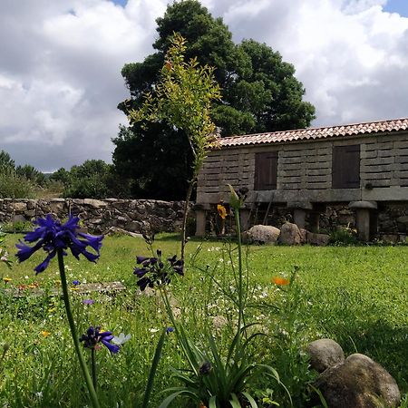Olardomar Casa de hóspedes San Mamede de San Mamede de Carnota Exterior foto