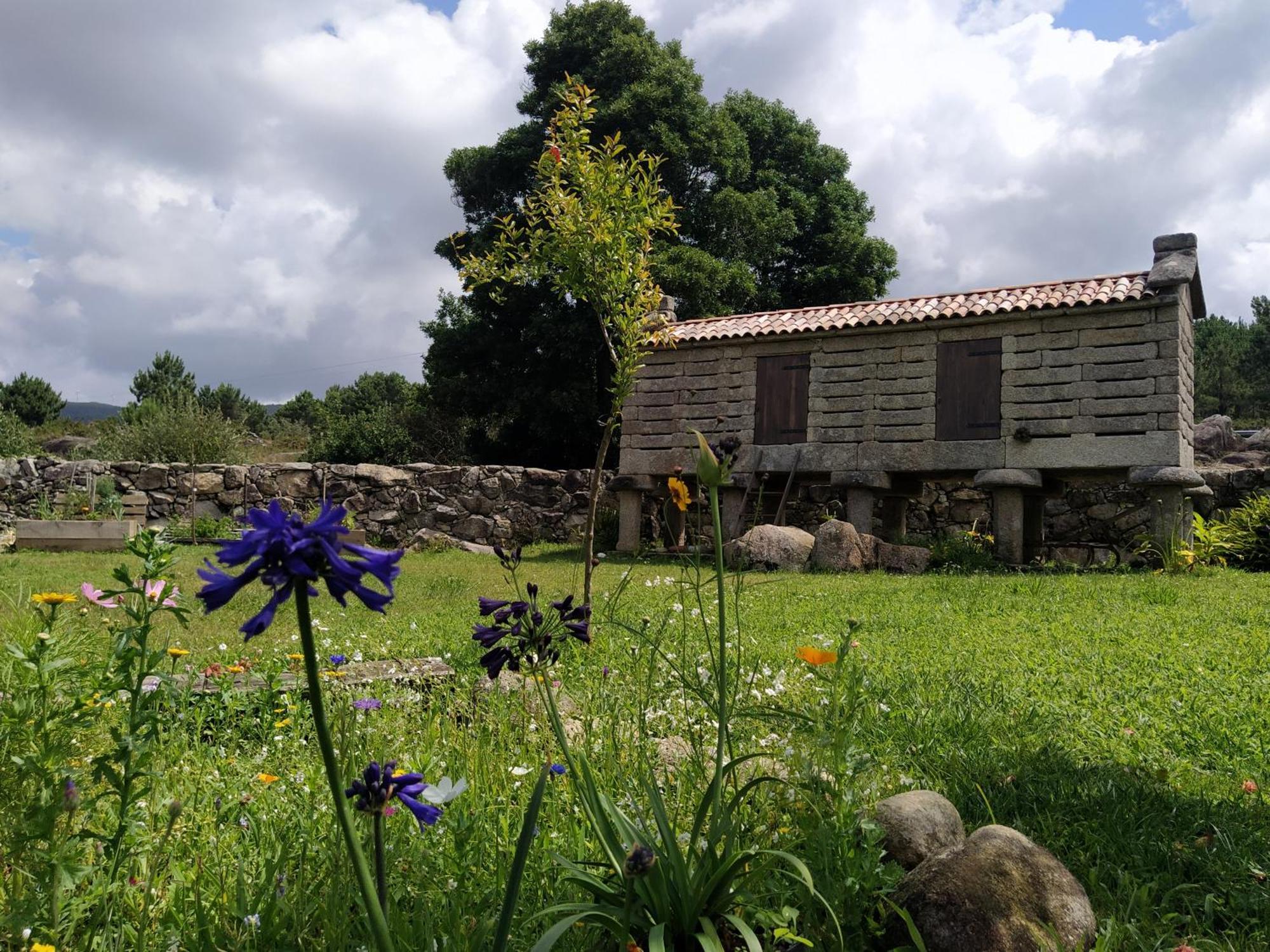 Olardomar Casa de hóspedes San Mamede de San Mamede de Carnota Exterior foto